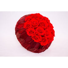 Folie Rouge_2