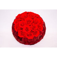 Folie Rouge_3