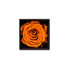 Rose Cubes