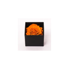 Rose Cubes