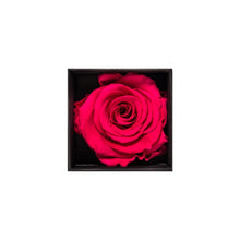 Rose Cubes