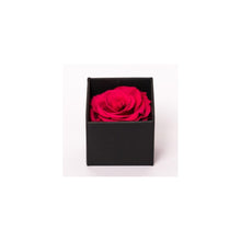 Rose Cubes