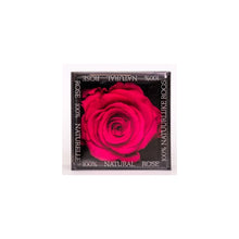 Rose Cubes