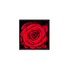 Rose Cubes