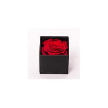 Rose Cubes