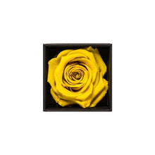 Rose Cubes
