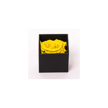 Rose Cubes