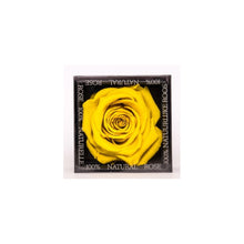 Rose Cubes