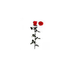 Stabilised Roses_Light Red