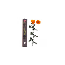 Stabilised Roses_Orange_Gift Box