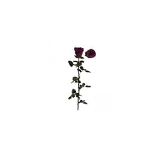 Stabilised Roses_Purple