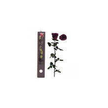 Stabilised Roses_Purple_Gift Box