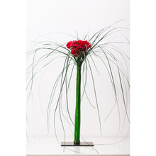 Symphony_2
