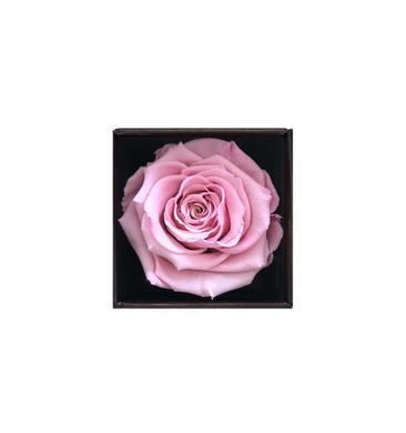 Rose Cubes