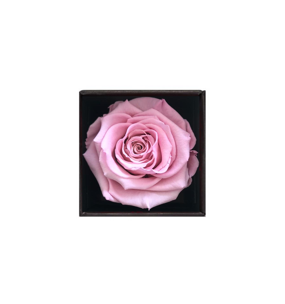 Rose Cubes