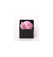 Rose Cubes
