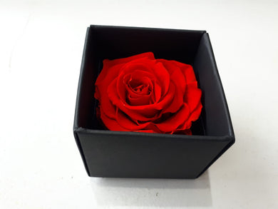 Cube Rose Rouge