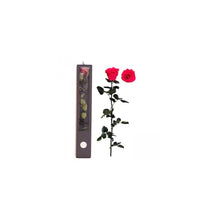 Stabilised Roses_Dark Pink_Gift Box