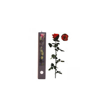 Stabilised Roses_Dark Red and Chocolate_Gift Box