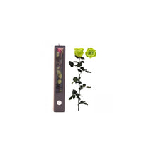 Stabilised Roses_Green_Gift Box